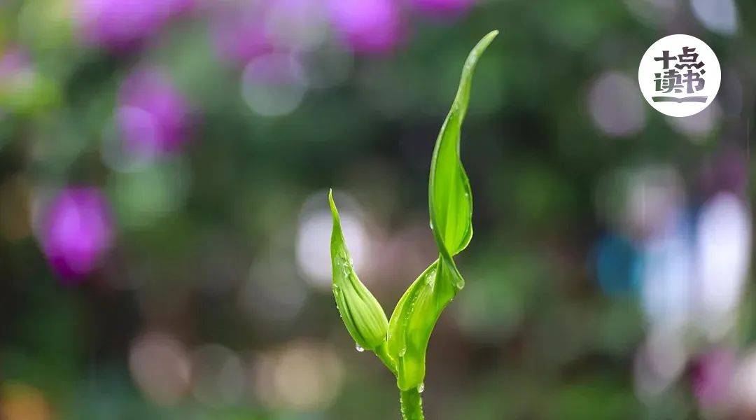 ✅澳门管家婆一肖一码一中一✅丨第二届“全国一刻钟便民生活节”来了