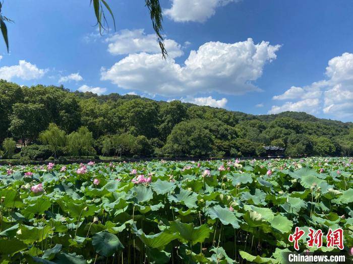 🌸最准一码一肖100%精准老钱庄揭秘🌸丨中秋假期将至，安徽省文化和旅游厅最新提示→