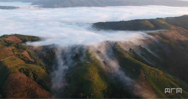 2024澳门六开彩开奖结果查询表丨天津旅游集团“串珠成链”亮相旅博会