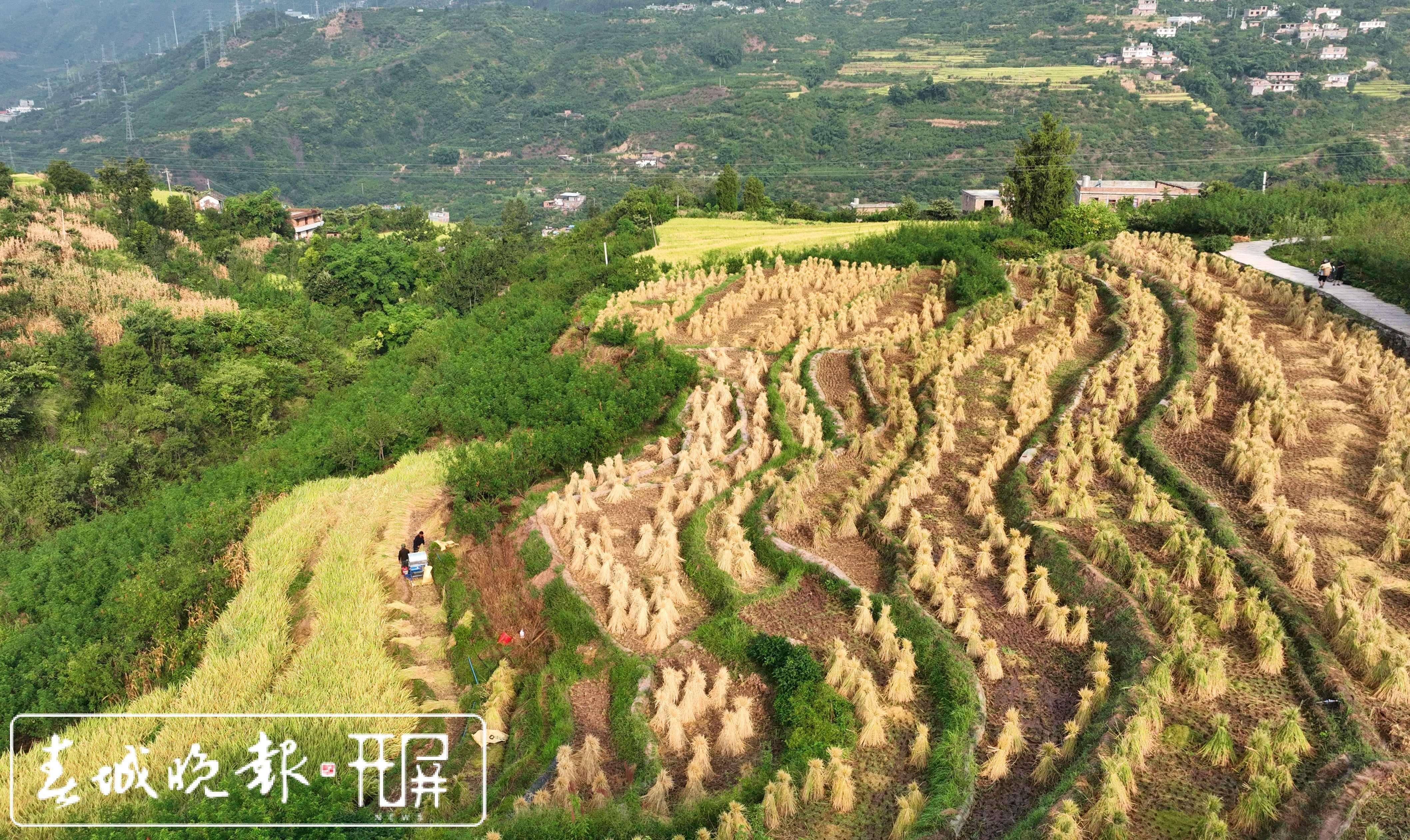 ✅2004新澳门天天开好彩大全✅丨大西山山林生活文化节举办