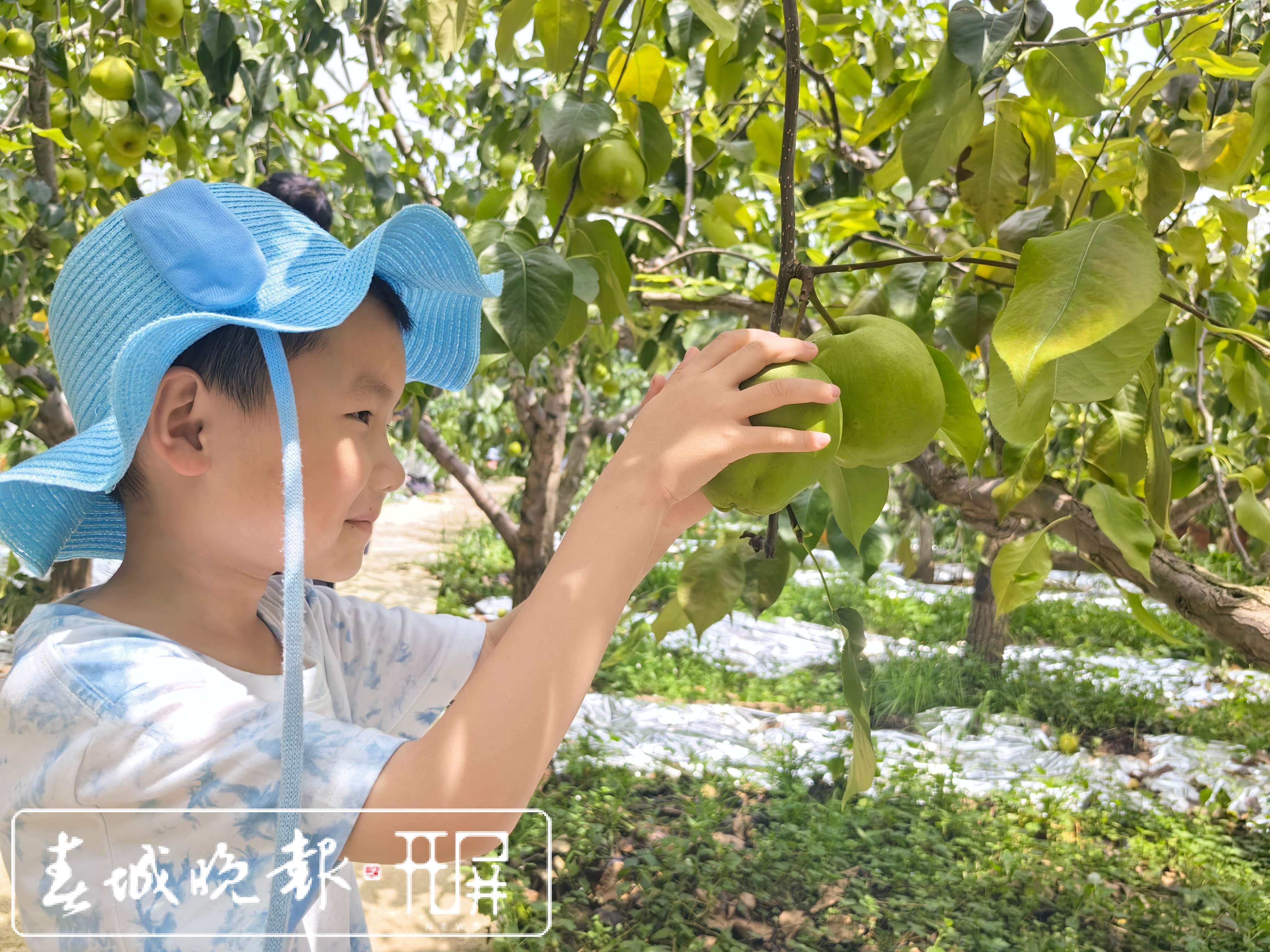 ✅澳门一码一肖一待一中✅丨“生活服务体验员”新职业正式发布，数百万探店达人“正名”