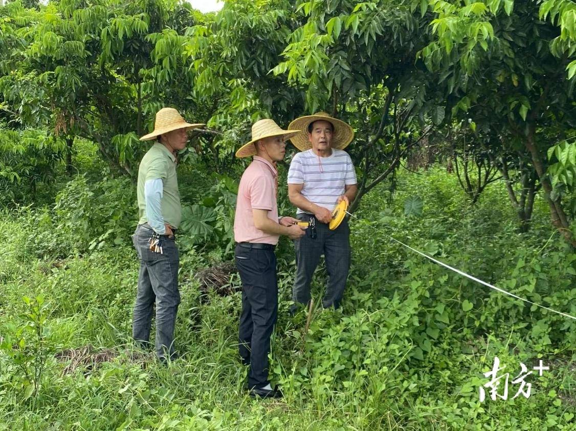 澳门天天开彩期期精准丨黑龙江漠河：前7个月旅游收入同比增99.18%