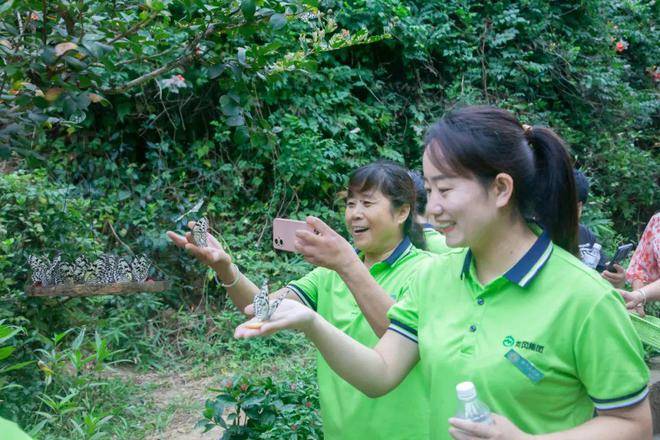 香港二四六开奖免费资料丨林建岳侄子女去新疆旅游，在草原骑马好新鲜，称这是新疆的犹他州