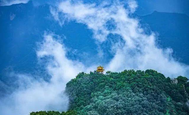 🌸打开香港网站资料🌸丨受台风“贝碧嘉”影响 上海74家A级旅游景区9月16日暂时关闭