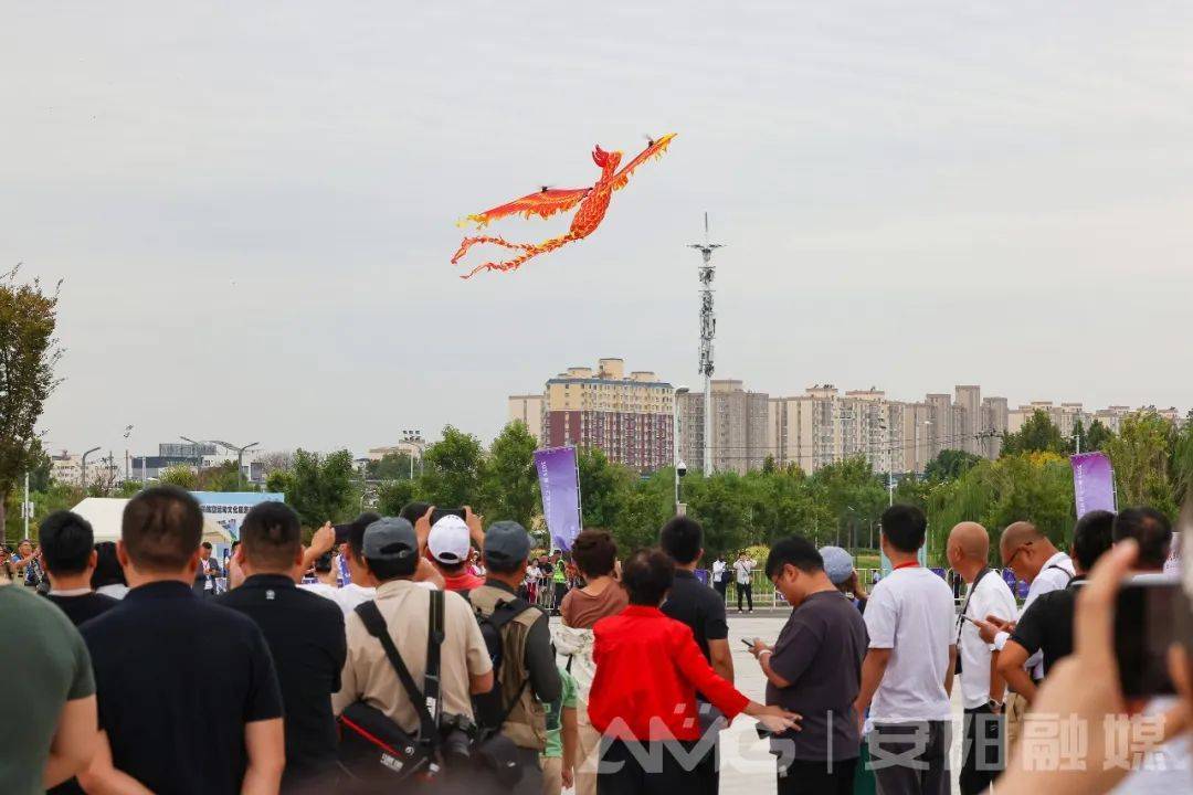 🌸新澳门精准的资料大全🌸丨上海“半马苏河”文化旅游节开幕，“悠游苏州河”新航线发布