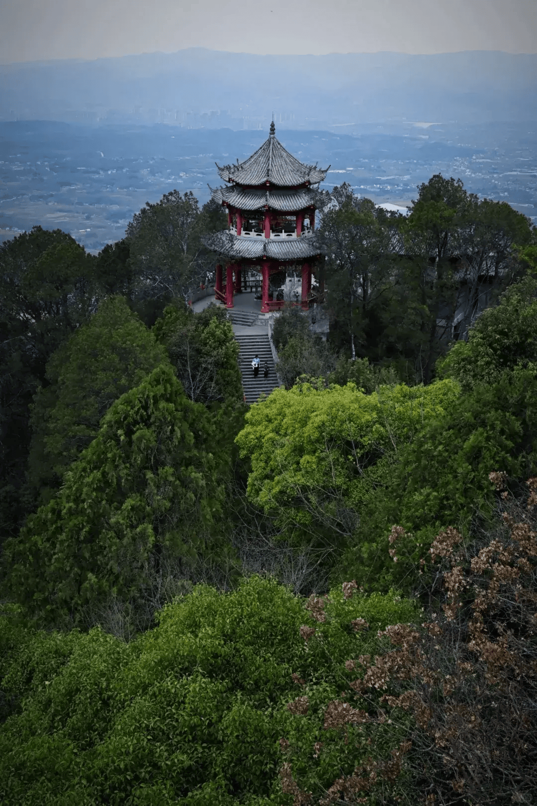 2024年新澳开奖结果丨关注“贝碧嘉”｜受台风影响，上海旅游节部分活动安排有调整