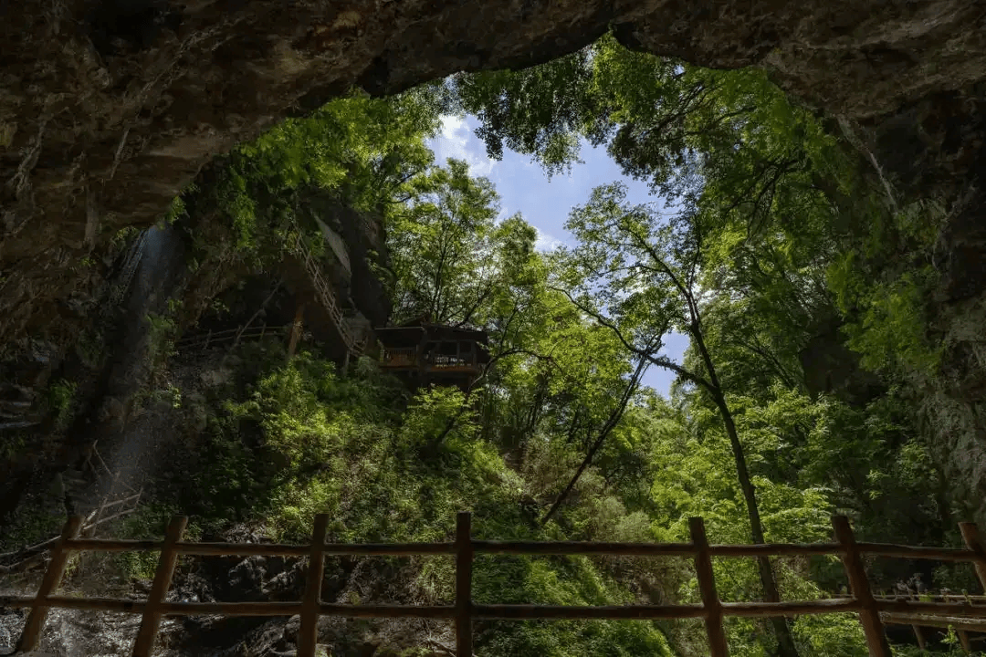 🌸白小姐一肖一码今晚开奖🌸丨旅游消费潜力持续释放