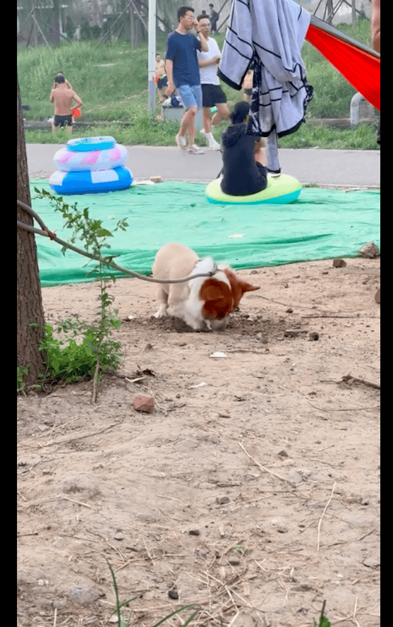 日韩性生活大片丨苹果iOS 18：电池健康与充电设置升级，引入“慢速充电通知”