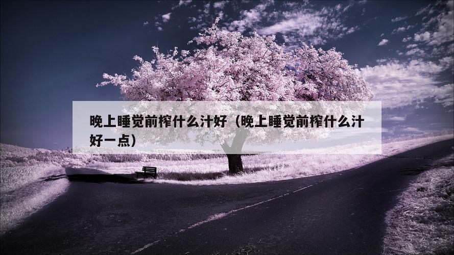 晚上睡觉前榨什么汁好（晚上睡觉前榨什么汁好一点）