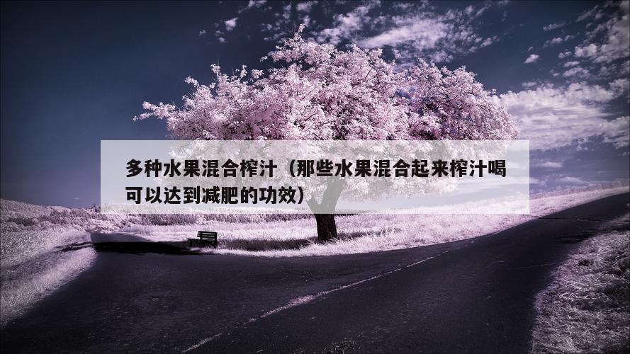 多种水果混合榨汁（那些水果混合起来榨汁喝可以达到减肥的功效）