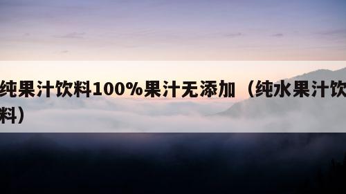 纯果汁饮料100%果汁无添加（纯水果汁饮料）