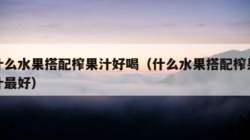 什么水果搭配榨果汁好喝（什么水果搭配榨果汁最好）  第1张