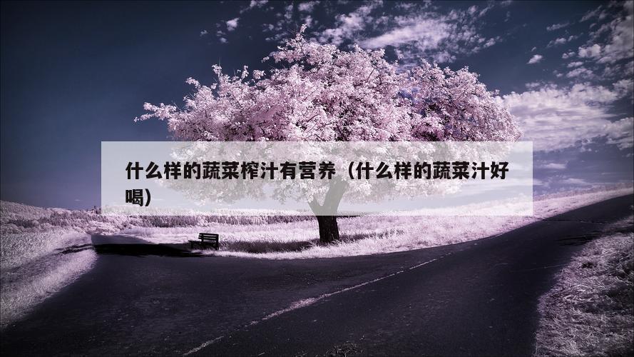 什么样的蔬菜榨汁有营养（什么样的蔬菜汁好喝）