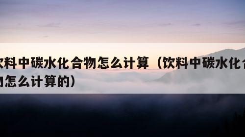 饮料中碳水化合物怎么计算（饮料中碳水化合物怎么计算的）