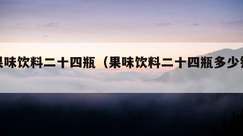 果味饮料二十四瓶（果味饮料二十四瓶多少钱）