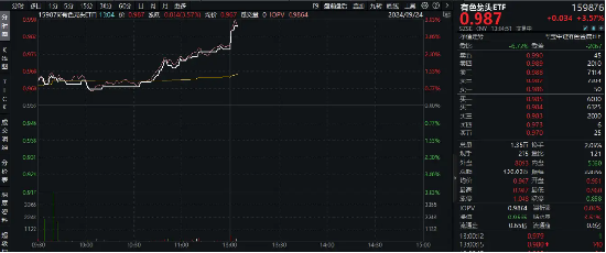 午后直线冲高！有色龙头ETF（159876）盘中上探3.57%，盛新锂能涨停封板！