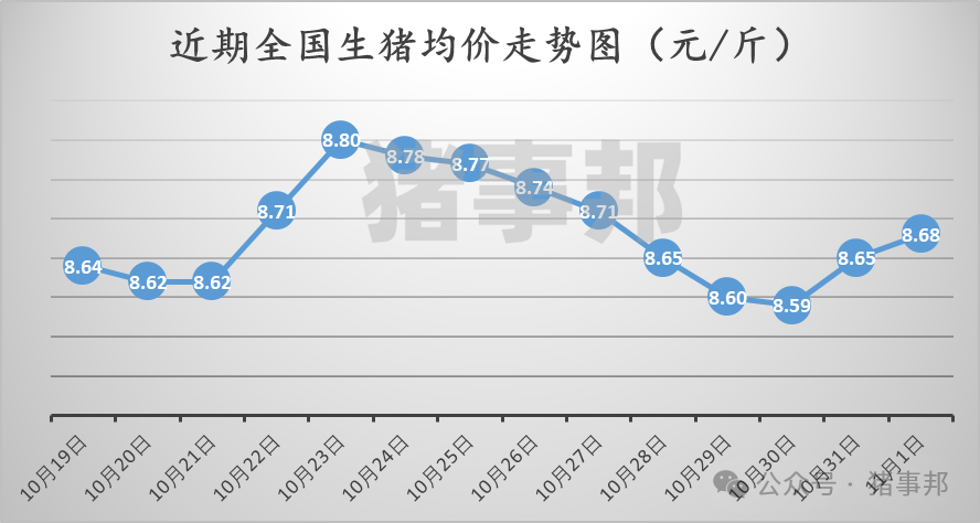 11月1日猪价汇总（主线涨，但情绪又转弱了！）