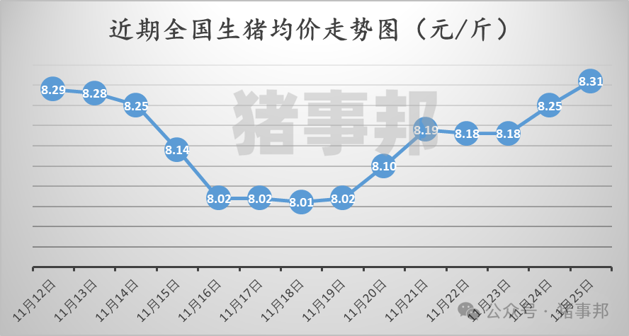 11月25日猪价汇总（涨势收窄，明日猪价或有变！）  第3张